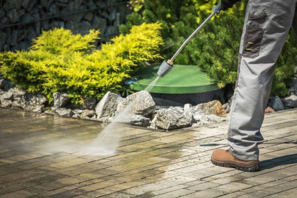 Best Playground Equipment Cleaning  in Clifton Heights, PA